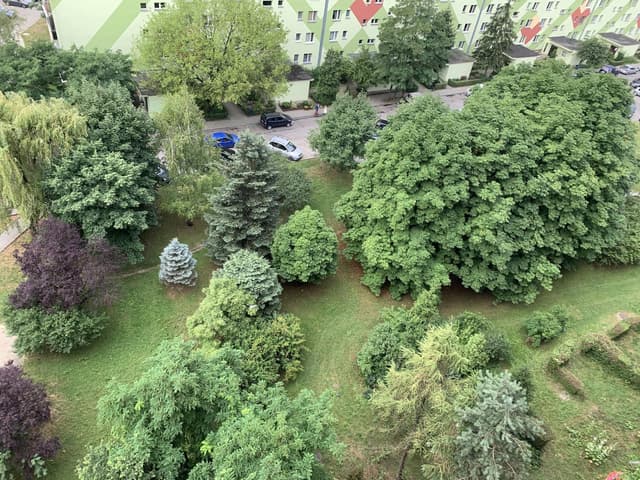 Przytulne 33 m² z balkonem w zielonej części Krakowa - Zdjęcie 4/10